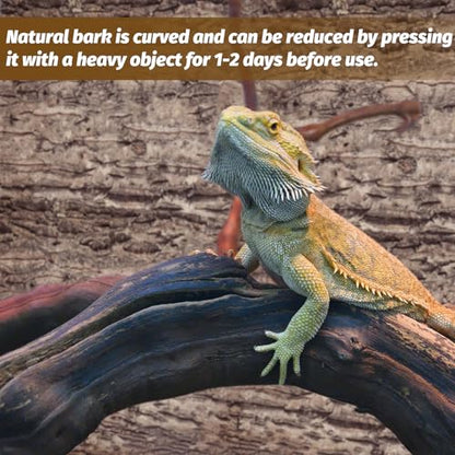 2PCS Cork Terrarium Background 9.84x11.8in Natural Cork Large Bark Backdrop Reptile Climbing Mat Habitat Decor for Spider Lizard Chamelon Turtle Beared Dragon