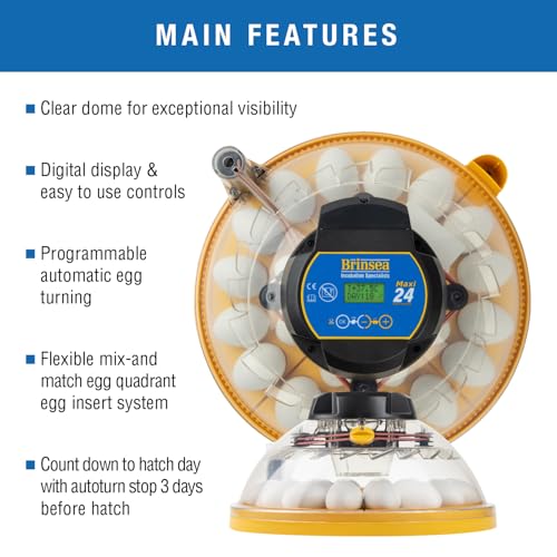Brinsea Maxi 24 Advance Incubator with auto Turner for Hatching 24 Eggs | Temperature control to ensure optimal conditions for hatching 24 eggs or more with inserts, Easy to use precision controls - size: 24 Eggs