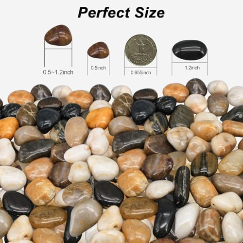 Fish Tank Rocks,Virekm River Rocks, Decorative Ornamental Pebbles | Garden Landscaping Stones Gravel Filler for Home Decoration Flower Bed Fish Tank Plants Vases Succulents (10 Pounds) - color: mixed color, size: 10 Pounds