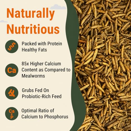Natural Black Soldier Fly Larvae for Chickens, 85X More Calcium Than Mealworms-High Protein Grub Food Chicken Treats for Hens, Probiotic-Rich Chicken Feed, Calcium-Dense Bird Treat 5lb - size: 5 Pounds