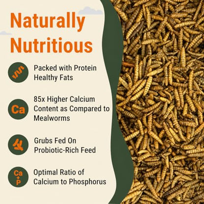 Dried Black Soldier Fly Larvae for Chickens, 85X More Calcium Than Mealworms, High Protein BSF Grub Chicken Feed Treats for Poultry, Hens, Ducks and Wild Birds, 10lb - size: 10 Pounds