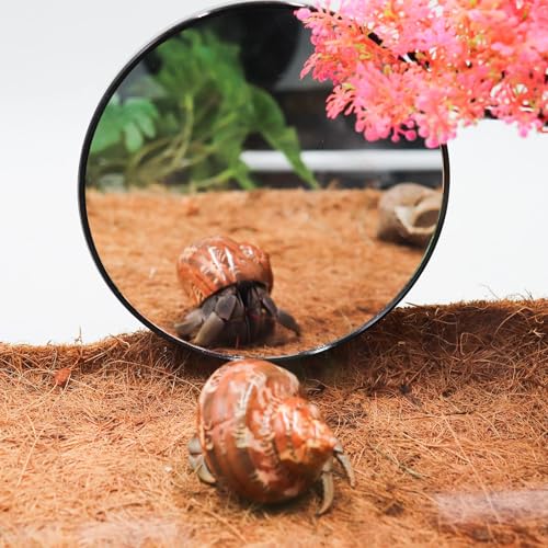 Jinkoozz 5.1 Inches Lizard Mirror Toy, Reptile Mirror Toy with Suction Cups, Small Animal Tank Aquarium Decor Accessories, Suitable for Hermit Crab Lizard Chameleon Hamster Guinea Pig Turtle
