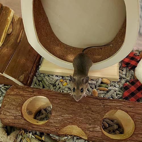 Natural Wood Tunnel Hamster Tunnel for Hamster Reptile Small Animals Cage Hollow Tree Trunk Hideout Toy (7.9"×2.7")