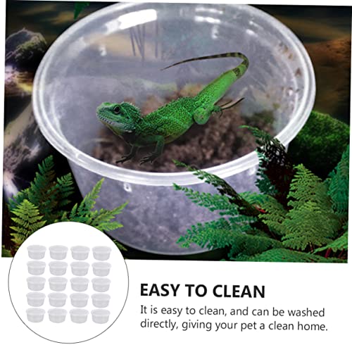 Mikikit 20Pcs Boxes Reptile Breeding Boxes Durable White Containers for Spiders Lizards Frogs and Pets for Quarantine and Comfortable Living Environment