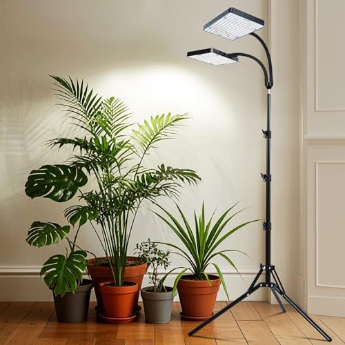 2Head Grow Light with Stand, 50 Watt Grow Lights for Indoor Plants, Natural Sunlight Full Spectrum Plant Growing Lamps for Tall Houseplants & Bonsai Tree, 4/8/12/16/20H 5-Mode Timer - size: 2Head Stand(50W)