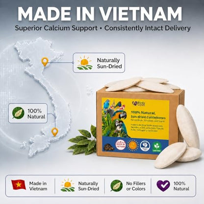 Birds LOVE 7.5-8" Cuttlebone for Birds – 100% Natural Sun-Dried Calcium Carbonate Mineral Supplement – for Parakeets, Budgies, Cockatiels, Finches & Canaries – 2 Pack with Holder – Made in Vietnam - size: 2 Count (Pack of 1)