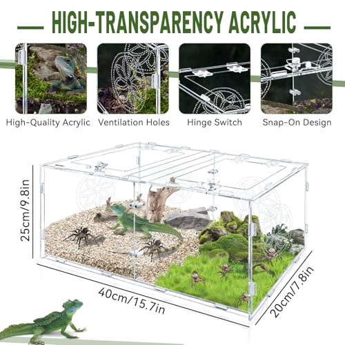 Large Jumping Spider Enclosure, 15.75*7.87*9.84in Acrylic Tarantula Enclosure, Reptile Enclosure for Small Tree Dwelling Reptiles, Amphibians and Invertebrates, Insect Terrarium with Locking Latch