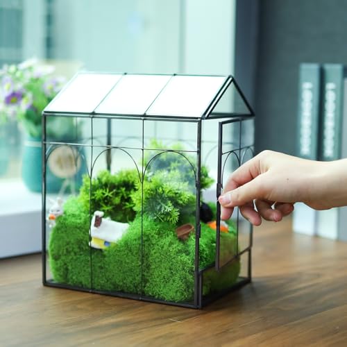 Geometric Plant Terrarium with Lid (Black with Side Door) | House Succulent Terrarium Kit for Succulents Cacti Snail, Home Tabletop Miniature Terrarium - color: Black with side door