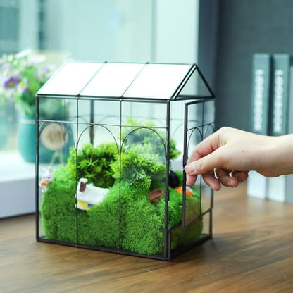 Geometric Plant Terrarium with Lid (Black with Side Door) | House Succulent Terrarium Kit for Succulents Cacti Snail, Home Tabletop Miniature Terrarium - color: Black with side door