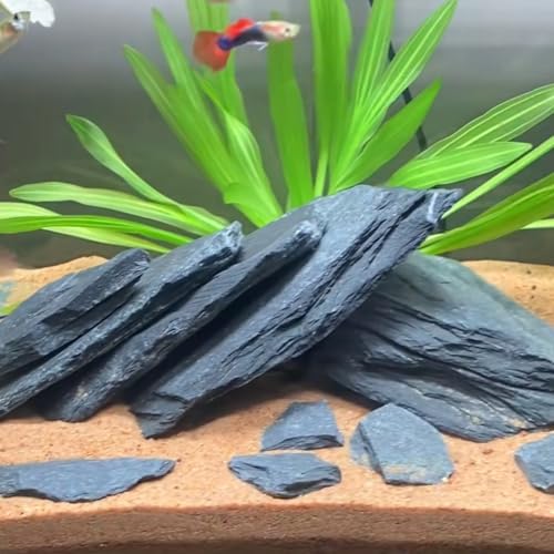 Aquarium Rock Natural Slate Rocks 2 to 4 inch Aquariums Stone for Aquascaping,Terrariums,Reptile Enclosures,Paludariums, and Gardens-5lb - size: 5lb(2-6'')