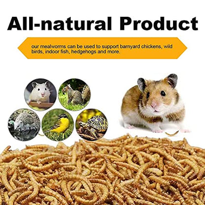 10oz Dried Mealworms for Chickens Duck High Protein Birds Treat | Worms Raised on a Clean Natural Diet, Hand Inspected Animal Feed Snacks for Turtles, Fish, Hamsters, Hedgehogs, Reptiles - size: 10 Ounce (Pack of 1), style: Mealworms