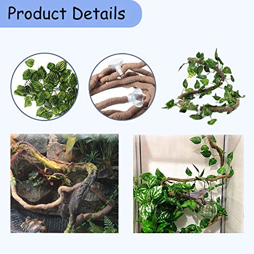 PINVNBY Reptile Suction Cup Feeder,Chameleon Feeding Food Bowl,Translucent Anti Escape Worm Live Fodder Container,Pet Ledge Water Dish Supplies for Lizard Gecko Bearded Dragon(4 Pcs) - size: 【2 PCS】