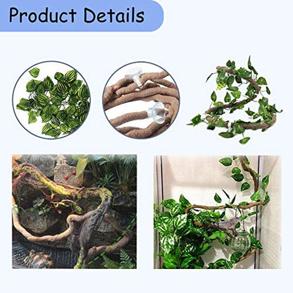 PINVNBY Reptile Suction Cup Feeder,Chameleon Feeding Food Bowl,Translucent Anti Escape Worm Live Fodder Container,Pet Ledge Water Dish Supplies for Lizard Gecko Bearded Dragon(4 Pcs) - size: 【2 PCS】