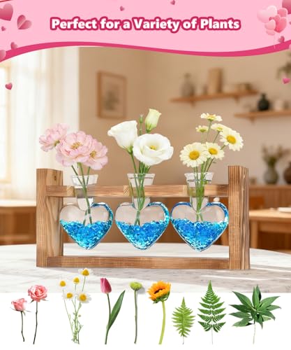 Plant Terrarium with Wooden Stand, 3 Heart Bulb Glass Vases | Wooden Stand Tabletop for Air Planter, Gifts for Mom Plant Lovers Mom Women Wife Grandma - color: Transparent