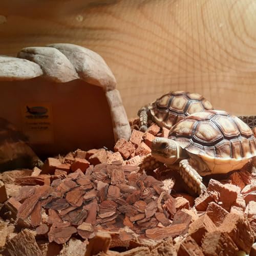 Levemolo Reptile Bark Bedding Natural Tree Bark Chips for Terrarium Decorations Gecko Substrate and Lizard Tank Decor 0.5 Kg Bag 2.36 X 1.18 X 0.39 in