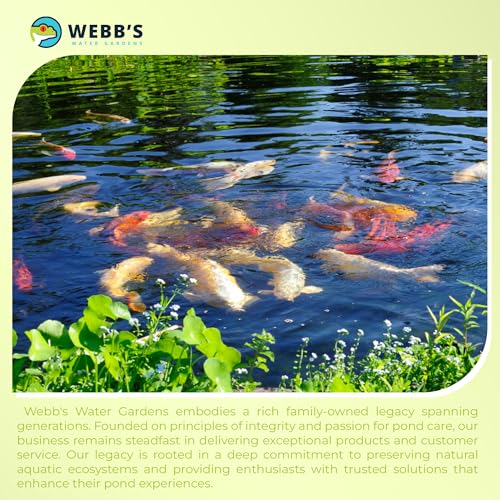 Webb's Water Gardens Essential Tap Water Conditioner Dechlorinator - Ideal for Ponds, Freshwater & Aquariums - Concentrated Formula for Dechlorinated Water - Liquid Supplies for Aquatic Pets - 1 gal