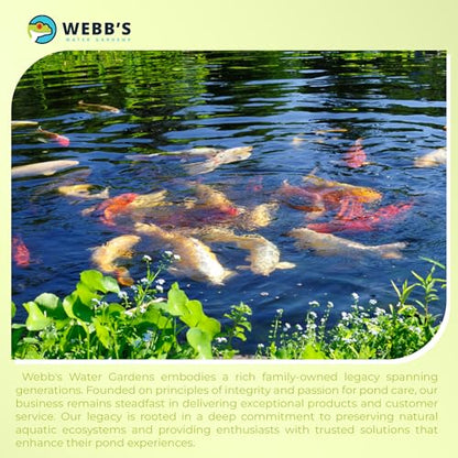 Webb's Water Gardens Essential Tap Water Conditioner Dechlorinator - Ideal for Ponds, Freshwater & Aquariums - Concentrated Formula for Dechlorinated Water - Liquid Supplies for Aquatic Pets - 1 gal