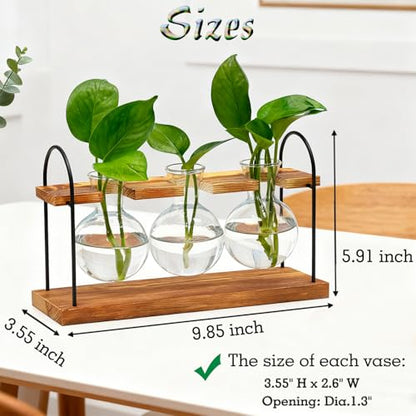 Plant Terrarium with Wooden Stand, Birthday Gift for Women Mom Plant Lover | Retro Glass Plant Propagation Station, Plant Pot Hydroponic, Unique Parent Gardening Gifts, Home Office Garden Decor Planter