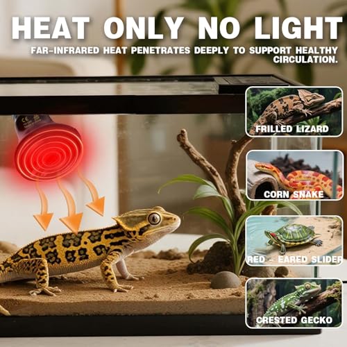 25W Reptile Heat Lamp(2-Pack) Ceramic Heat Emitter- Non-Light Emitting, 24/7 Safe Heating for Terrariums, Brooders & Incubators-Turtle Lizard Bearded Dragon Snake Small Pets E26 - size: 25 Watts