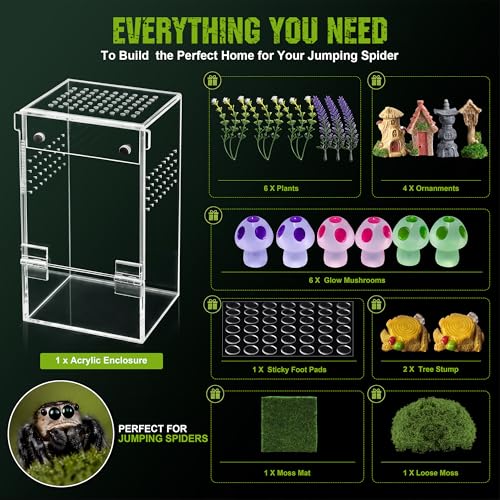 Jumping Spider Enclosure Kit – Escape-Proof Terrarium for Jumping Spiders | 3"x3"x6.2" Complete Habitat with Spider Cage, Plants, Moss, and Accessories – Ideal Starter Kit