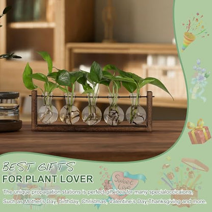 YIBOT Wall Hanging Glass Planter Plant Propagation Vase-5 Bulb Glass Vases | Plant Terrarium with Wooden Stand,Indoor Home Office Living Room Decor Gifts - size: 5Bulb-M
