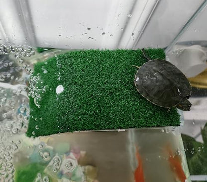 alfyng Turtle Resting Basking Platform Simulation Grass Turtle Ramp, Lawn Tortoise Climbing Ladder Resting Terrace for Reptile Frog Terrapin Amphibian - Medium - size: Medium