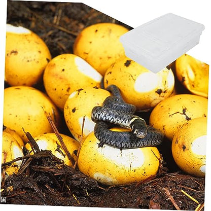 Mikikit Practical Reptile Breeding Box Lightweight Incubator for Snakes Lizards and Crawling Pets Safe Plastic Material for Professional Hatching and Incubation Needs
