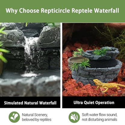 550ML Reptile Water Fountain with Food Dish – Terrarium Drinking Fountain for Bearded Dragon, Gecko, Chameleon, Lizard, Tree Frog & Turtle – Keeps Water Clear, Easy-to-Use Water Dispenser