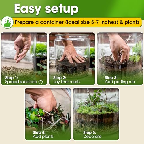 All-in-One DIY Terrarium Starter Kit for Air Plant & Succulent | Includes Potting Soil, Pumice, Zeolite, Green Moss, Sphagnum Moss, Decorative Stone, Mesh, Tools & Guide - size: Terrarium Kit