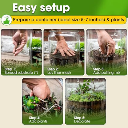 All-in-One DIY Terrarium Starter Kit for Air Plant & Succulent | Includes Potting Soil, Pumice, Zeolite, Green Moss, Sphagnum Moss, Decorative Stone, Mesh, Tools & Guide - size: Terrarium Kit