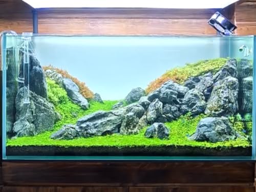 Aquarium Rocks Seiryu Stones Natural Hardscape Stone for Aquariums, Fish Tanks, Bonsai, Terrariums, Wargaming Dioramas, Indoor or Outdoor Gardens-5lb(2-6 Inch) - size: 5Lb (2-6 inch)