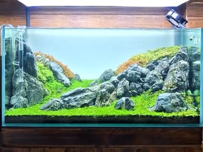 Aquarium Rocks Seiryu Stones Natural Hardscape Stone for Aquariums, Fish Tanks, Bonsai, Terrariums, Wargaming Dioramas, Indoor or Outdoor Gardens-5lb(2-6 Inch) - size: 5Lb (2-6 inch)