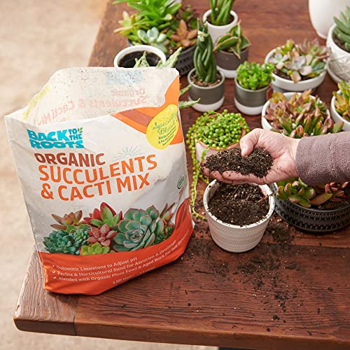 Back to the Roots 100% Organic Succulent & Cacti Mix (6 Quart) | Made in the USA | Premium Nutrition for Indoor and Outdoor Plants - size: 6 Quart, style: Suculent & Catcti Blend