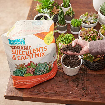 Back to the Roots 100% Organic Succulent & Cacti Mix (6 Quart) | Made in the USA | Premium Nutrition for Indoor and Outdoor Plants - size: 6 Quart, style: Suculent & Catcti Blend