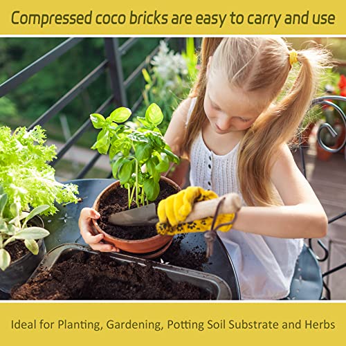1 Pack Organic Coco Coir Brick for Plants, Natural Coconut Coir Soil | Moisture Retention, Coconut Fiber Substrate for Seed Starting, Soil Amendment, Potting Mix, Gardening, Composting & Reptile - size: 1 Pack