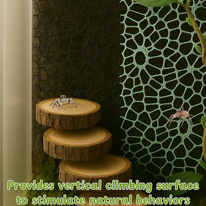 Jumping Spider Tarantula Enclosure Climbing Bridge Decor, Jumping Spider Hideout Rope Bridge 2pcs Climbing Web Net with 8pcs Suction Cups Hook, Accessories For Tarantula Reptile Enclosure (Green)