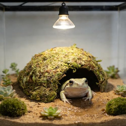 Natural Moss Frogs Hideout - Green Mossy Cave for Reptile, Geckos, and Hermit Crabs - Humid Habitat Decor for Amphibians and Small Reptiles - Eco-Friendly Terrarium Shelter