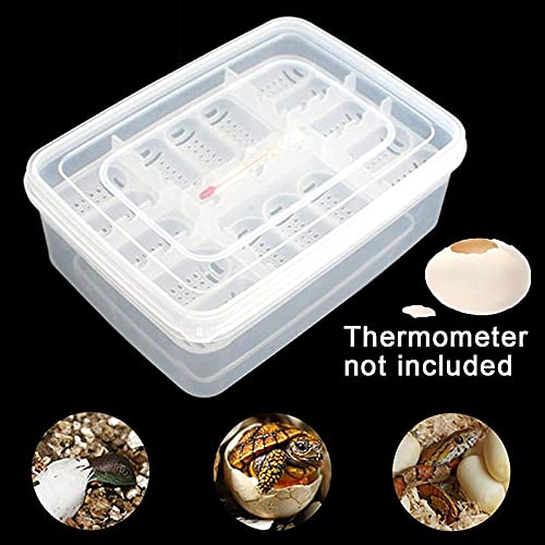 Still Awake Reptile Egg Incubator Professional Hatcher Hatching Box Case Tray Plastic Breeding Incubator for Hatching Snake,Lizards, Reptiles,Gecko(16 Slots Without Thermometer)