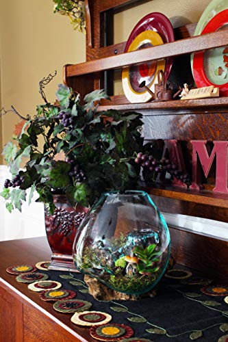 Molten Glass | #650-24 | Molten Glass & Wood Luminary Sculpture | Terrarium | Fairy Garden | Approximately 9.5" Wide | Natural Wood and Recycled Glass | - size: Approximately 9.5" Wide