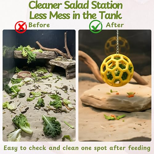 Bearded Dragon Climbing Bridge with Veggie Feeder Ball – Bendable Vine Enrichment Route for Large Tanks, Greens Intro Kit, Reptile/Lizard Tank Accessories (Salad Feeder Ball) - color: Salad Feeder Ball