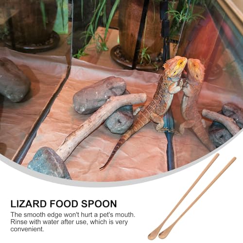 POPETPOP 2pcs Reptile Food Spoon Long Handle Feeding Tool for Lizards and Animals Mixing Spoon for Reptile Powder and Fruit - color: As Shown 1