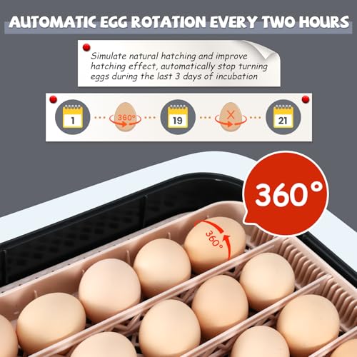 Sailnovo Incubators for Hatching Eggs 70 Egg Incubator with Automatic Egg Turning and Auto Humidification, Temperature Control, Incubator for Chicken Duck Quail Eggs, Perfect for Lab School Farm Use