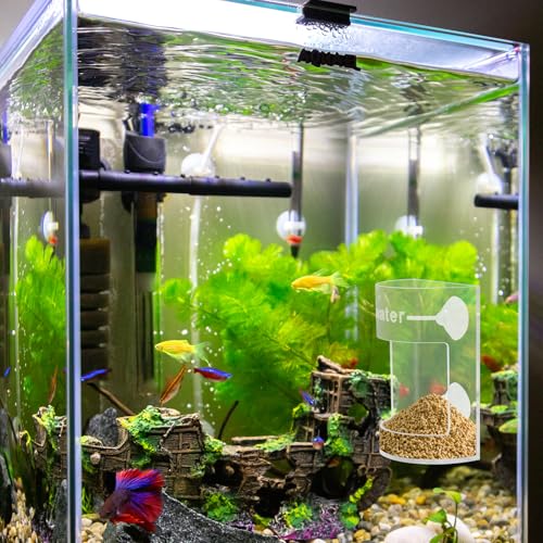 Round Fish Tank Feed Tray with Scale and Suction Cup, Feeding Tube Supplies, Tank Divider Supplies, Breeder Box for Aquarium, Round Aquariums & Fish Bowls Accessories - color: 3.Transparent