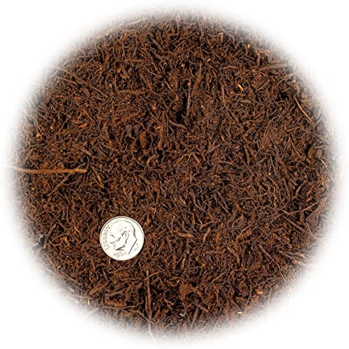 Premium New Zealand Tree Fern by GARDENERA - Orchid and Epiphytal Plants Growing Medium and Reptile Substrate - 2 Quart Bag - size: 2 Quart Bag, style: Tree Fern