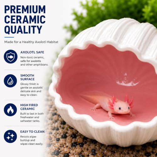 Ceramic Axolotl Hide Cave Hideout Tank Accessories Aquarium Decor for Pets | Hollow shaded resting spot、Weighted base, stays put、Fade-resistant glaze finish - size: Small