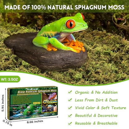 Riare 3.5oz Natural Sphagnum Moss for Reptiles, Terrarium Substrate Bedding | 4QT High Expansion, Moisture Retention, Helps Shedding, Long Fibered Dried Moss for Leopard Gecko, Snake, Frog, Turtle - color: 3.5 OZ