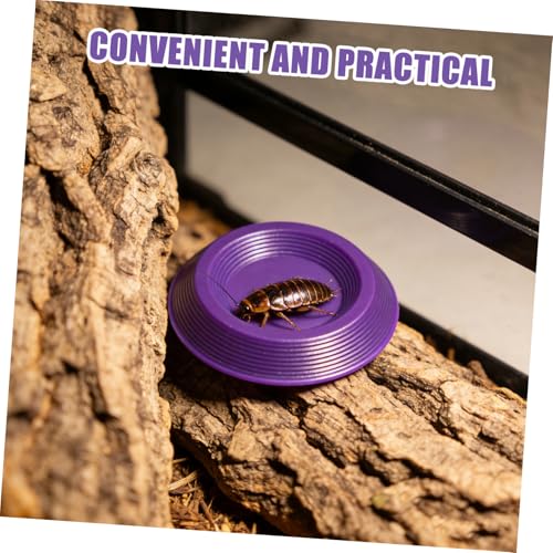 Beavorty 12pcs Plastic Mealworm Feeding Dish Set for Small Animals, Escape Proof and Bowls for Home Use and Transporting Reptiles, Lizards, and Geckos