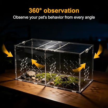 Reptile PC Terrarium, Double Room Tarantula Enclosure,Spider Tank Starter Kit,Leopard Gecko Container,Hermit Crab Habitat,Lizard housing,Jumping Spider Cage,Small Bearded Dragon Vivarium