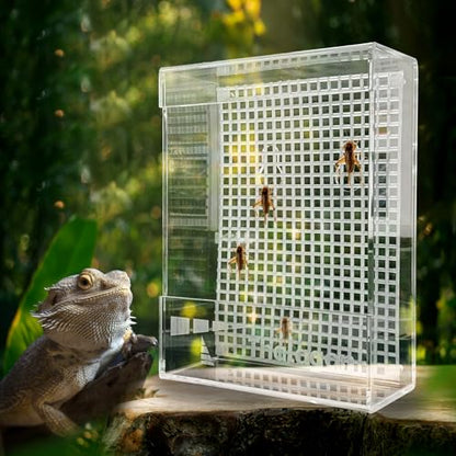 Bearded Dragon Feeder, Transparent Acrylic Reptile Feeding Box, Chameleon Bug Bowl, Wall-Mounted Insect Bowl with Suction Cups, Tank and Aquarium Accessories for Lizard Gecko Frog