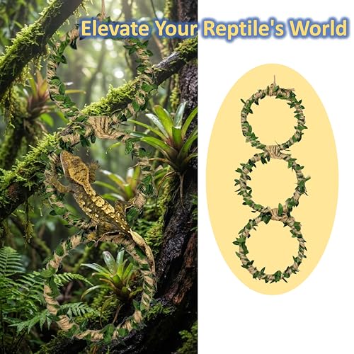 3-Tier Snake Climbing Rings for Ball Python - Natural Jungle Vine Enclosure Accessories, Reptile Habitat Decor, Hanging Enrichment Toys for Corn Snakes, Geckos, and Small Lizards